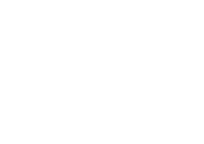 Boxer Seguridad